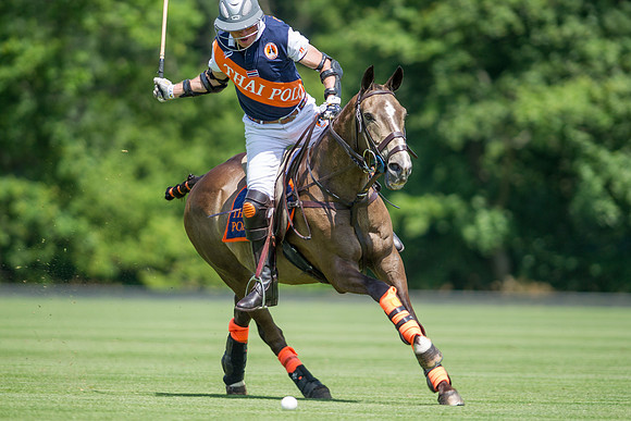 Veuve Clicquot Gold Cup 2013