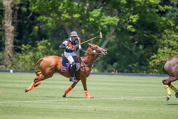 Veuve Clicquot Gold Cup 2013