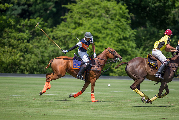 Veuve Clicquot Gold Cup 2013