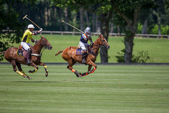 Veuve Clicquot Gold Cup 2013