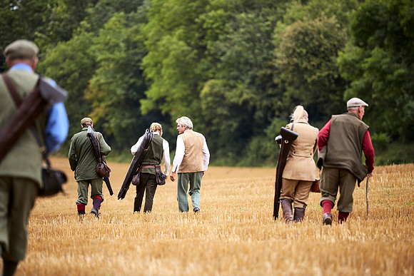 Goodwood Estate partridge shoot