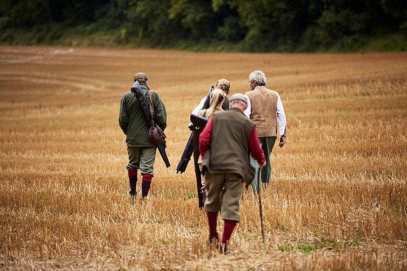 Goodwood Estate partridge shoot