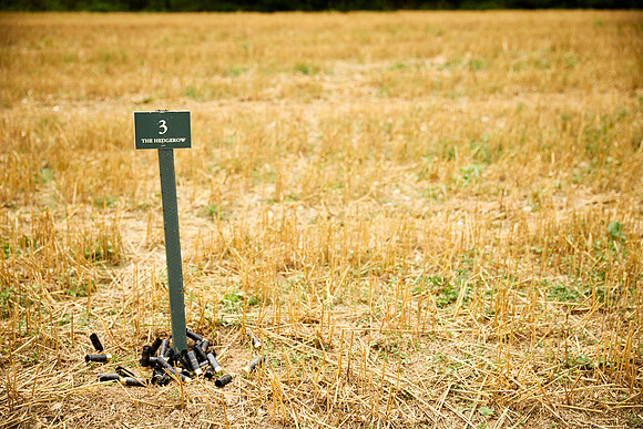 Goodwood Estate partridge shoot
