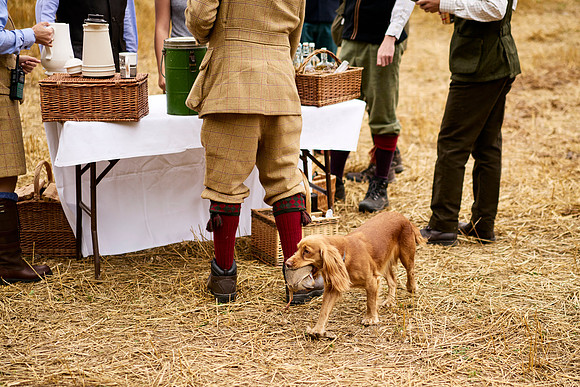 Goodwood Estate partridge shoot