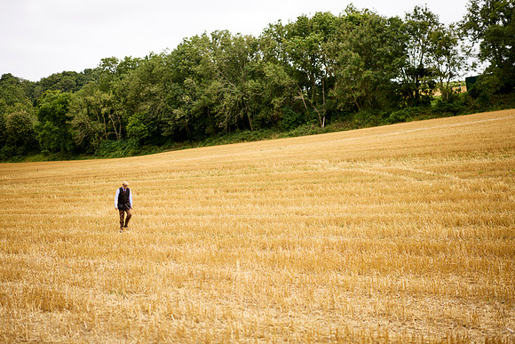 Goodwood Estate partridge shoot