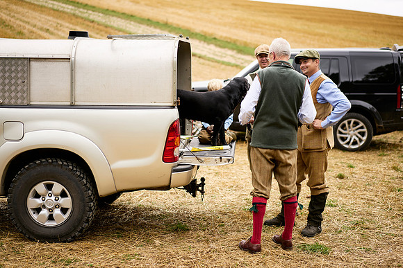 Goodwood Estate partridge shoot