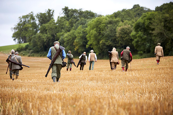 Goodwood Estate partridge shoot