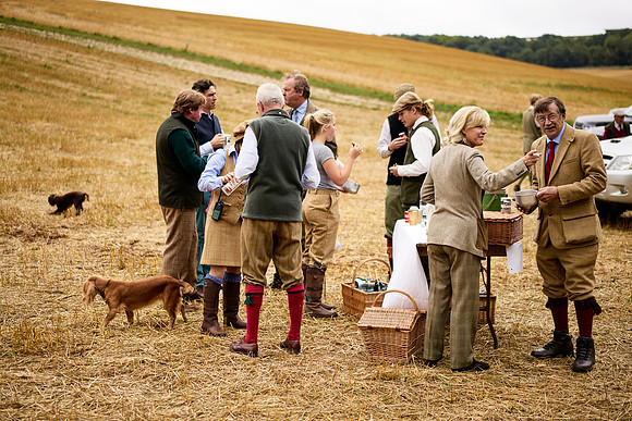Goodwood Estate partridge shoot