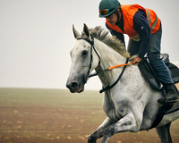 016A Nigel Twiston-Davies