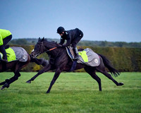 002F Roger Varian