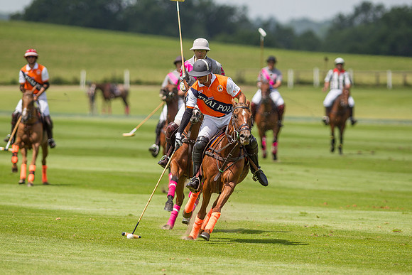 Veuve Clicquot Gold Cup 2013
