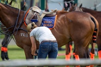 Veuve Clicquot Gold Cup 2013