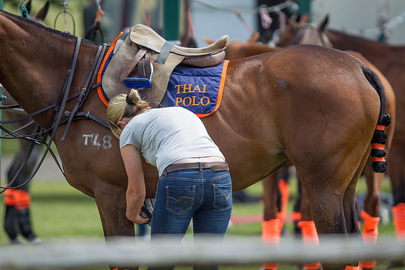 Veuve Clicquot Gold Cup 2013