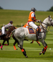 Veuve Clicquot Gold Cup 2013