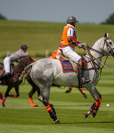 Veuve Clicquot Gold Cup 2013