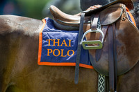 Veuve Clicquot Gold Cup 2013