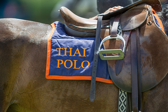 Veuve Clicquot Gold Cup 2013