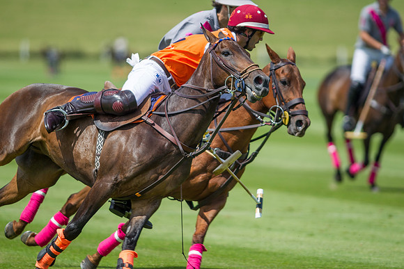 Veuve Clicquot Gold Cup 2013
