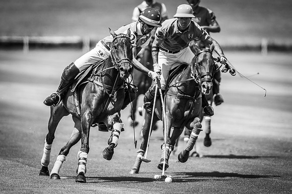 Veuve Clicquot Gold Cup 2013