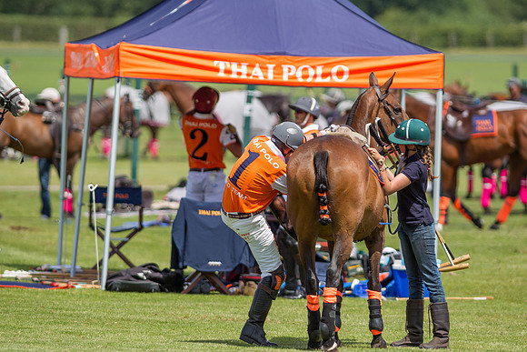 Veuve Clicquot Gold Cup 2013