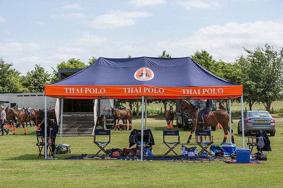 Veuve Clicquot Gold Cup 2013