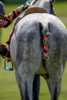 Veuve Clicquot Gold Cup 2013