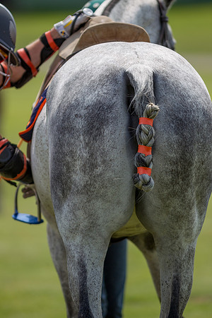 Veuve Clicquot Gold Cup 2013