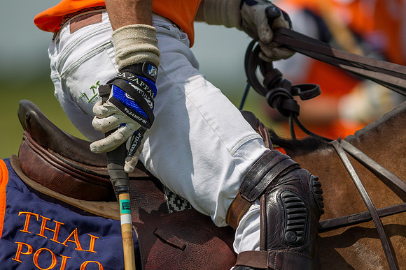 Veuve Clicquot Gold Cup 2013