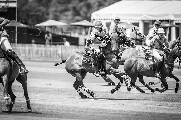 Veuve Clicquot Gold Cup 2013