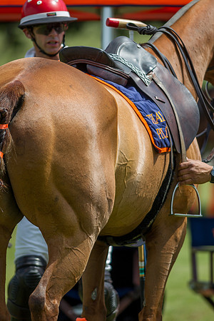 Veuve Clicquot Gold Cup 2013