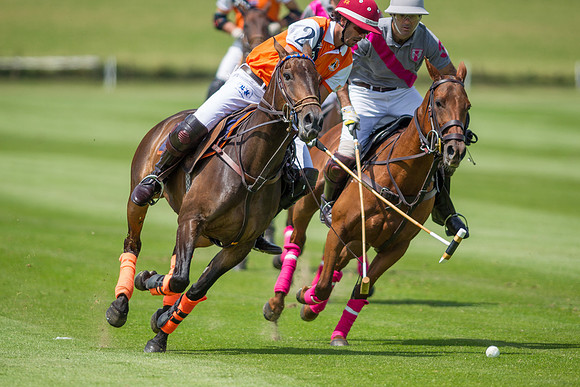 Veuve Clicquot Gold Cup 2013