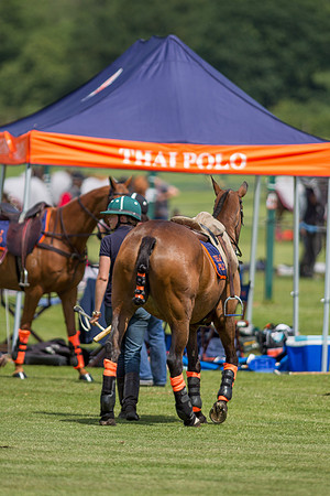 Veuve Clicquot Gold Cup 2013