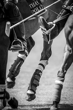 Veuve Clicquot Gold Cup 2013