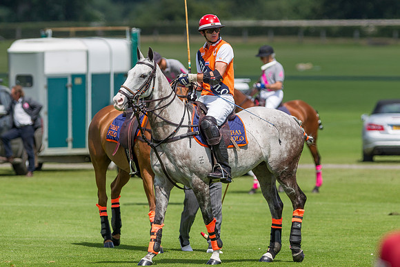 Veuve Clicquot Gold Cup 2013