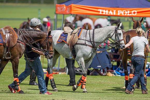 Veuve Clicquot Gold Cup 2013