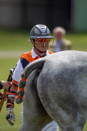 Veuve Clicquot Gold Cup 2013
