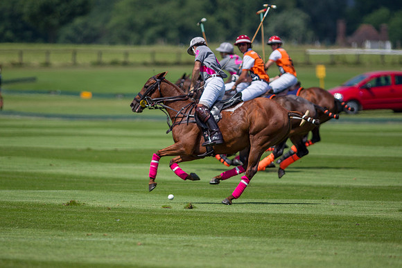 Veuve Clicquot Gold Cup 2013