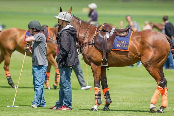Veuve Clicquot Gold Cup 2013