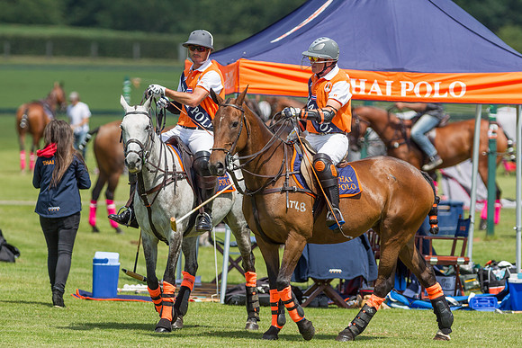 Veuve Clicquot Gold Cup 2013