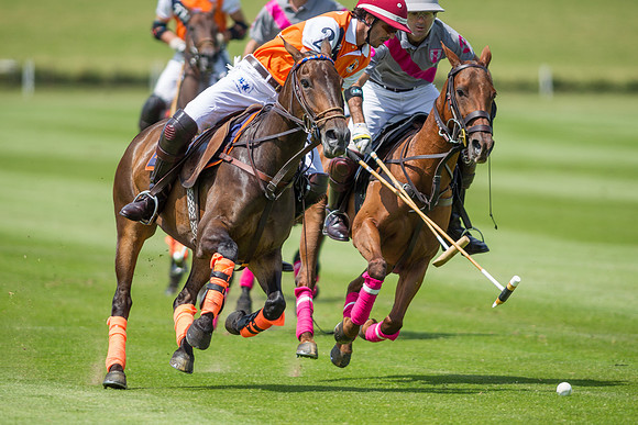 Veuve Clicquot Gold Cup 2013
