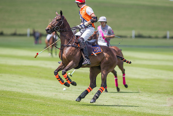 Veuve Clicquot Gold Cup 2013