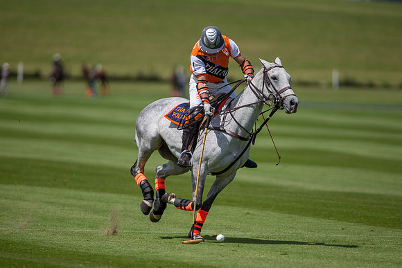 Veuve Clicquot Gold Cup 2013