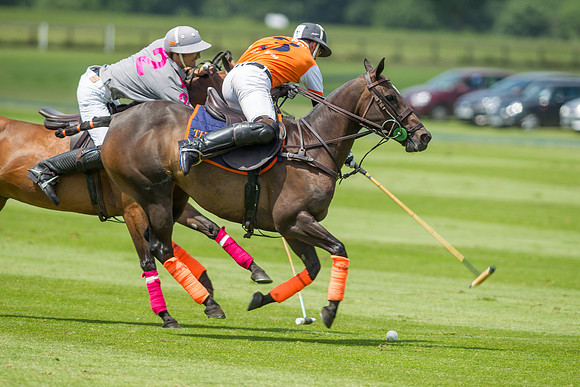 Veuve Clicquot Gold Cup 2013