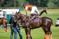 Veuve Clicquot Gold Cup 2013