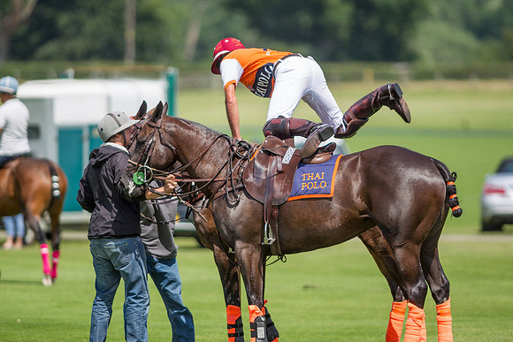 Veuve Clicquot Gold Cup 2013