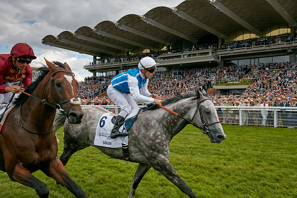 _OM_9635.CR2