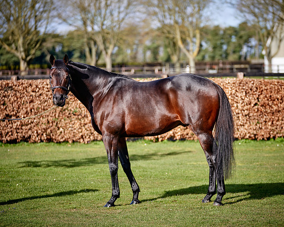 NATIONAL-STUD-TIME-TEST-DJ-_DJ70896