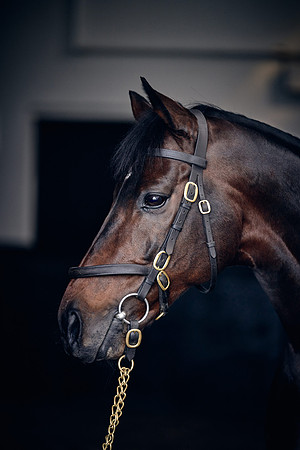 NATIONAL-STUD-TIME-TEST-DJ-_DJ71080
