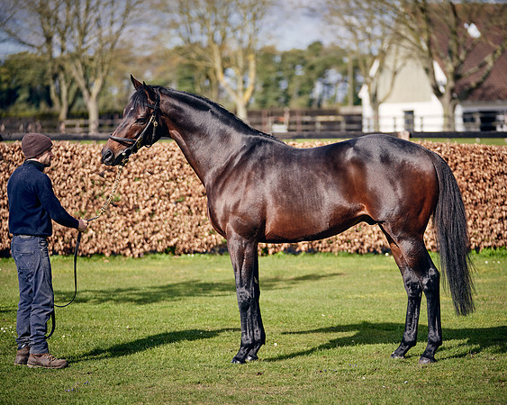 NATIONAL-STUD-TIME-TEST-DJ-_DJ70898