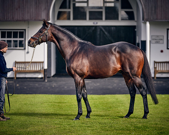 NATIONAL-STUD-TIME-TEST-DJ-_DJ70940